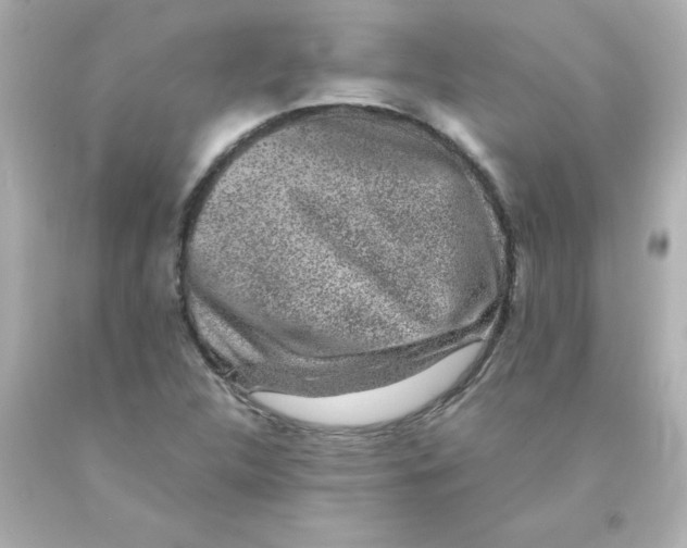 X0000093121312200710241254