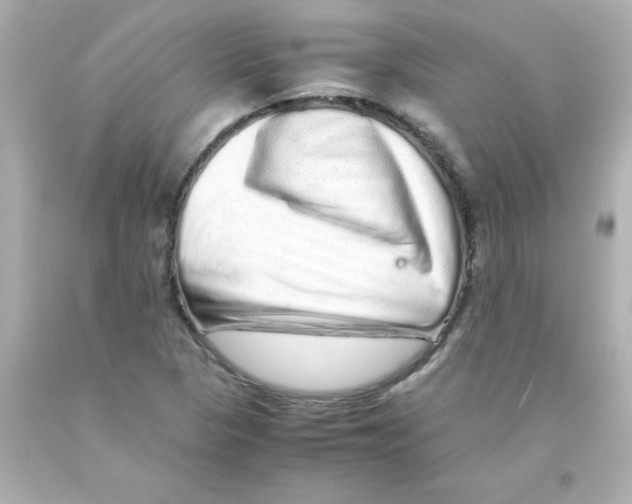 X0000093121313200710241254