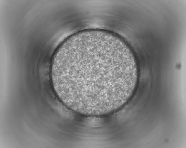 X0000093121314200710241254