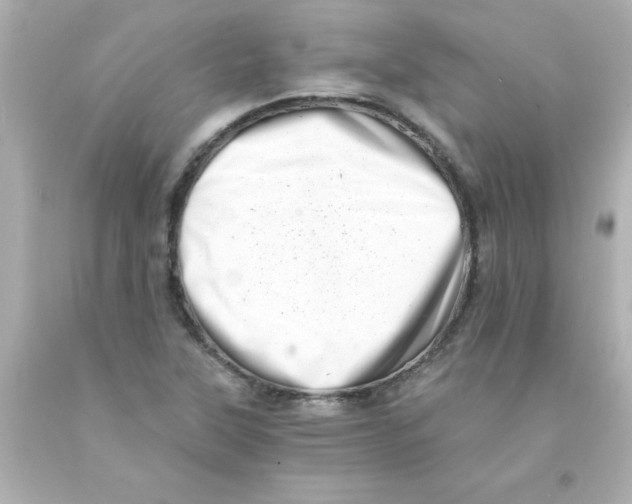 X0000093121315200710241254