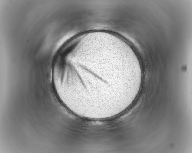 X0000093121317200710241254