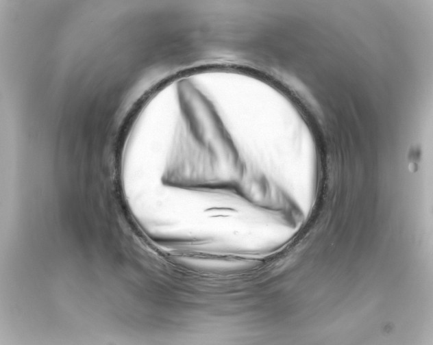 X0000093121318200710241254