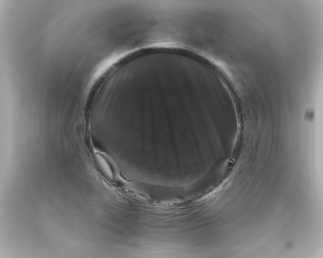 X0000093121319200710241254