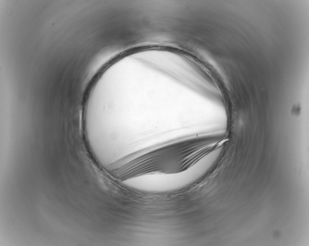 X0000093121320200710241254