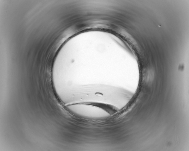 X0000093121321200710241254