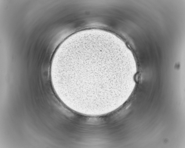 X0000093121322200710241254