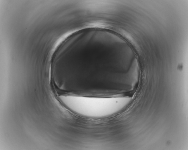 X0000093121323200710241254