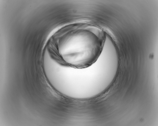 X0000093121324200710241254