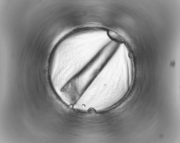 X0000093121325200710241254