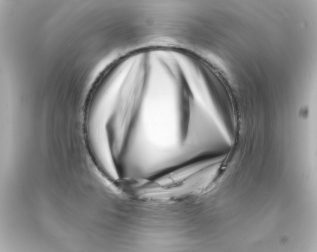 X0000093121326200710241254