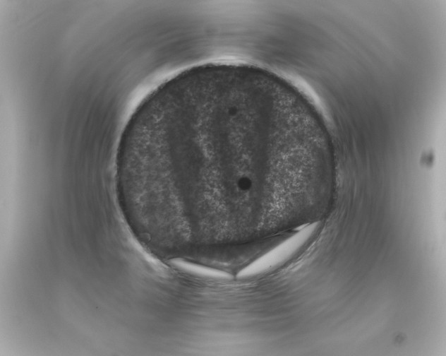 X0000093121327200710241254