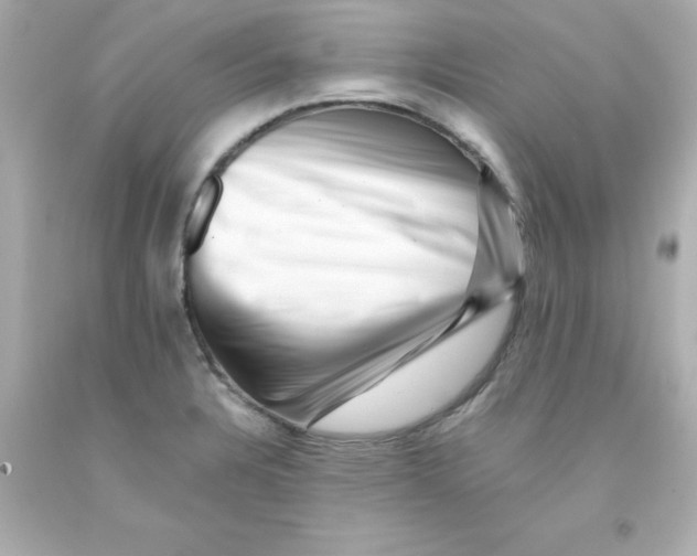 X0000093121328200710241254