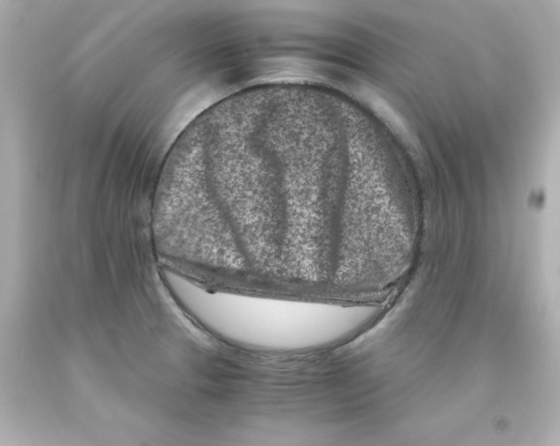 X0000093121329200710241254