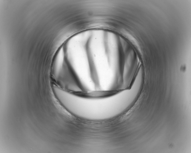 X0000093121330200710241254