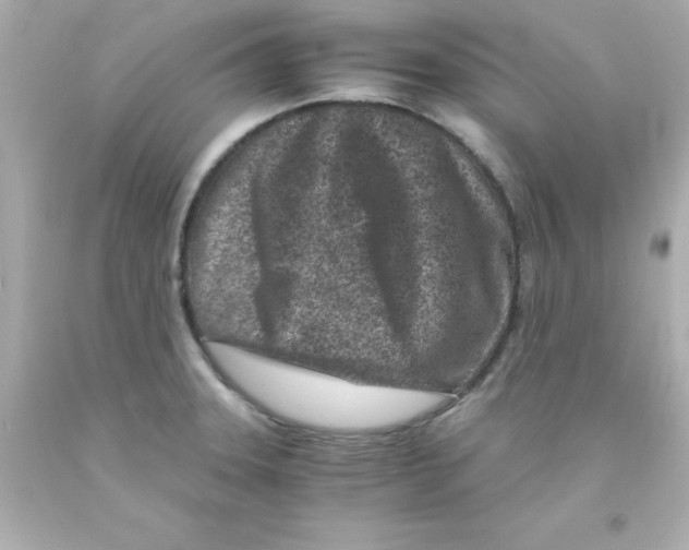 X0000093121331200710241254