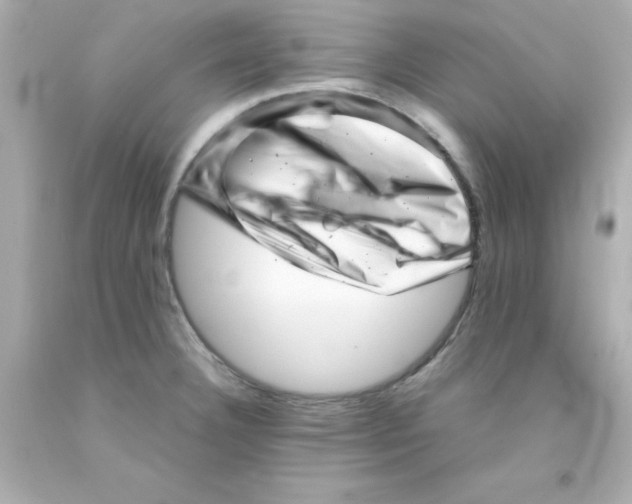 X0000093121332200710241254