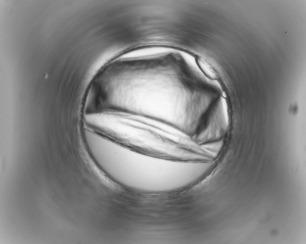 X0000093121333200710241254