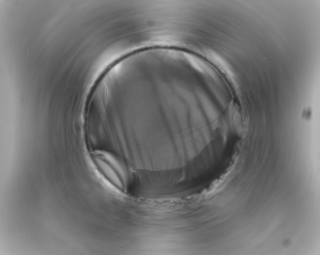 X0000093121334200710241254