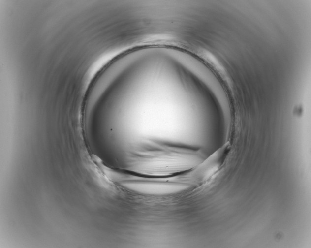 X0000093121336200710241255