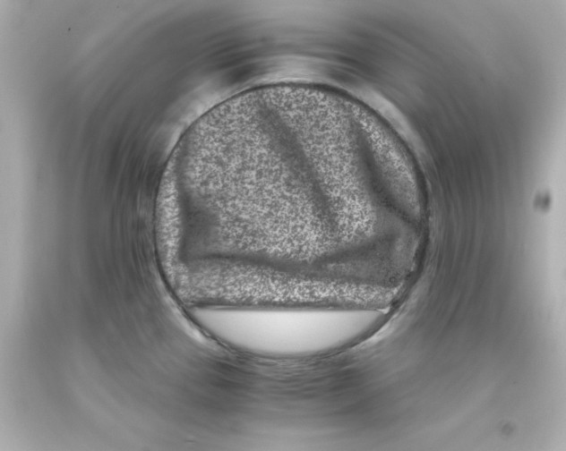 X0000093121337200710241255