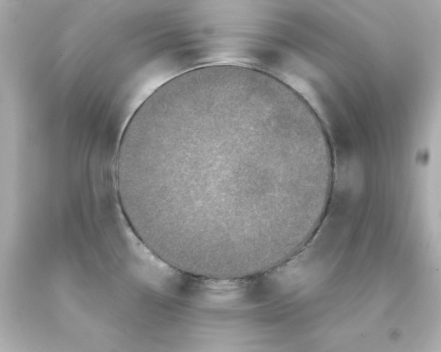 X0000093121338200710241255