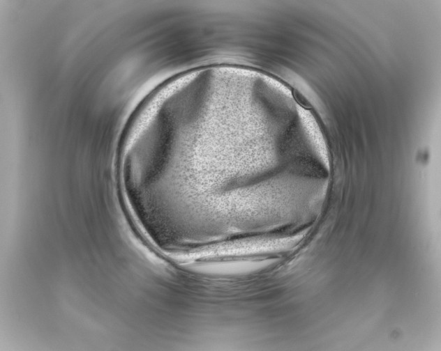 X0000093121339200710241255