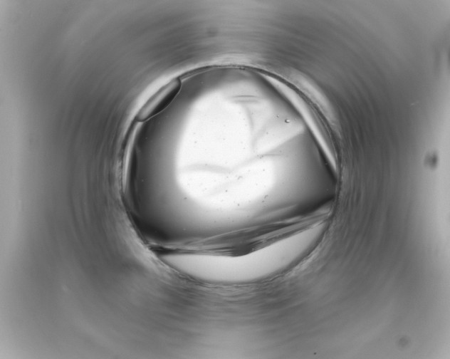 X0000093121340200710241255