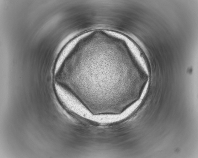 X0000093121341200710241255