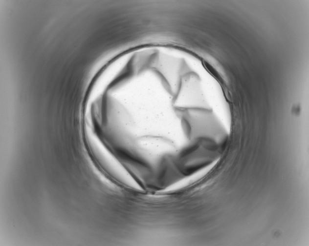 X0000093121343200710241255