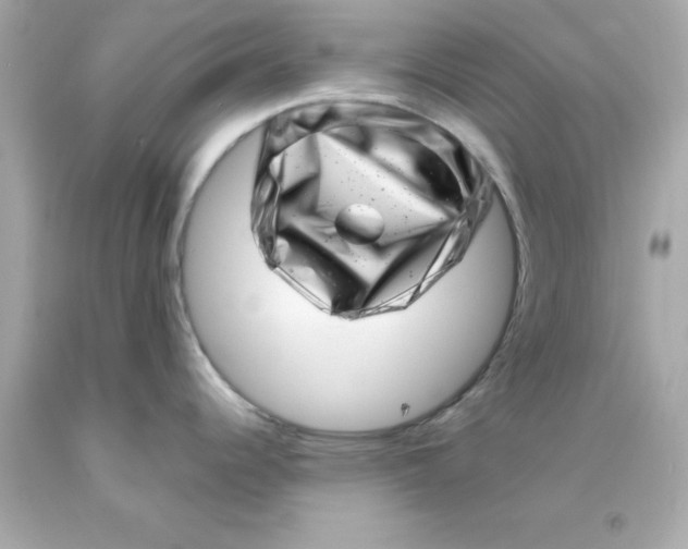 X0000093121344200710241255