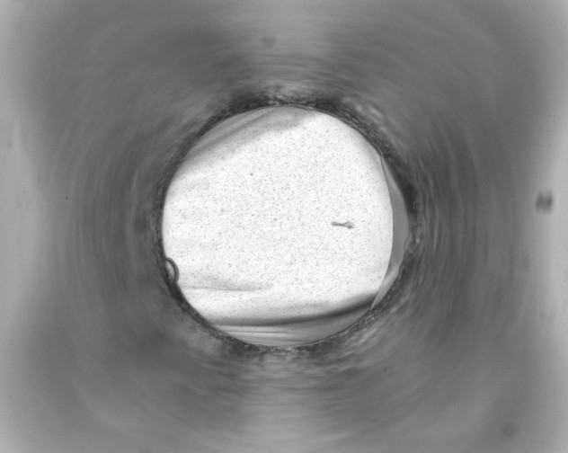 X0000093121345200710241254