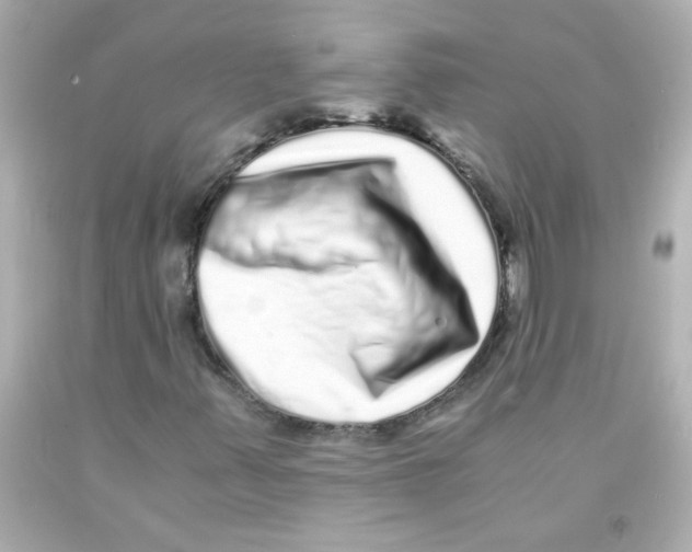 X0000093121347200710241254