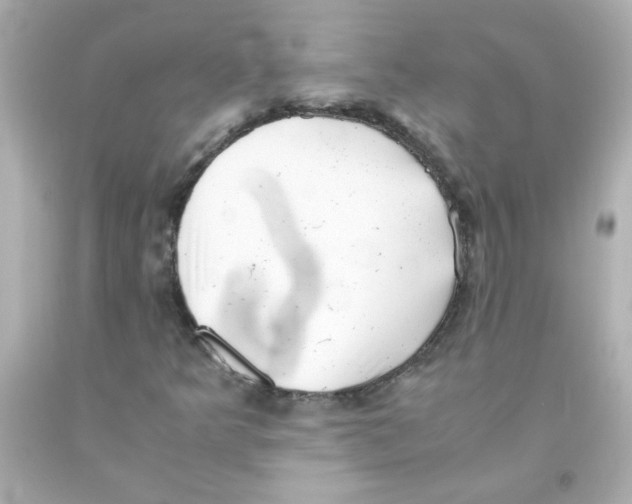 X0000093121349200710241254