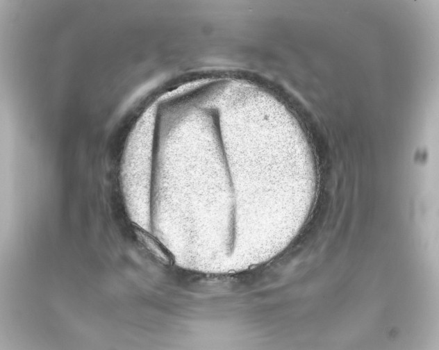 X0000093121351200710241254