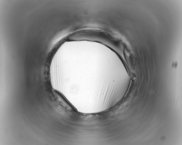 X0000093121352200710241254