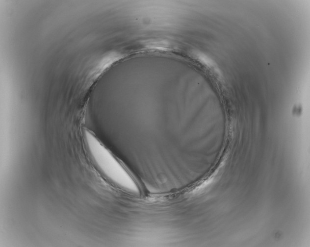 X0000093121353200710241254