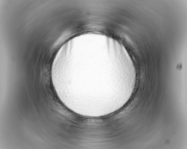 X0000093121354200710241254