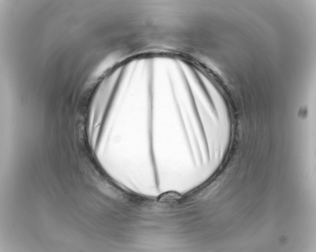 X0000093121355200710241254