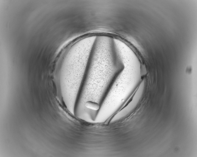 X0000093121356200710241254