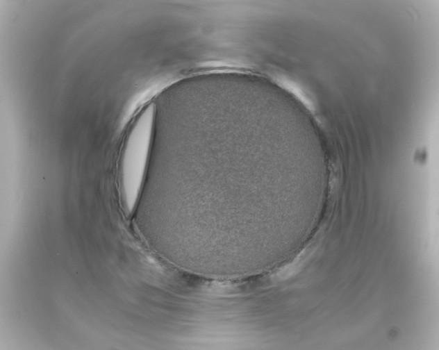 X0000093121357200710241254