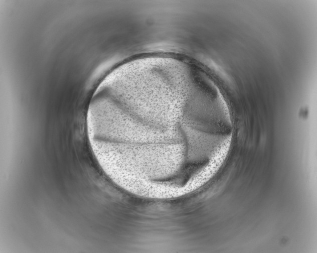 X0000093121358200710241254