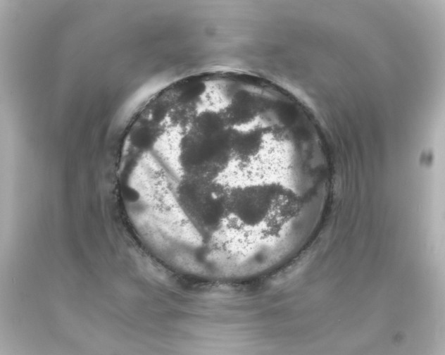 X0000093121359200710241254