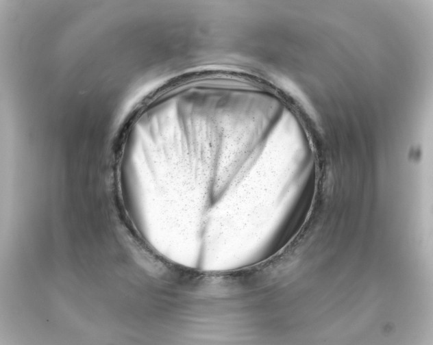 X0000093121360200710241254