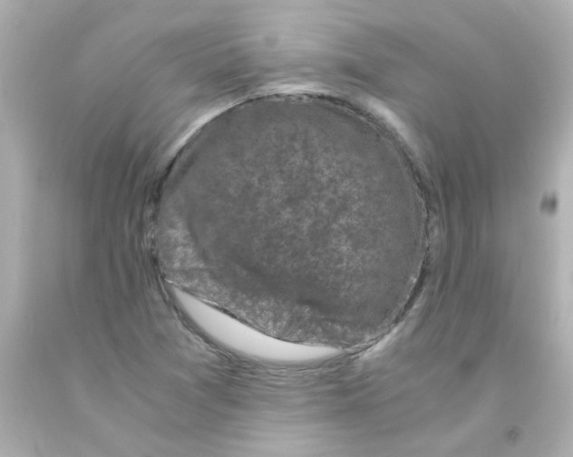 X0000093121361200710241254