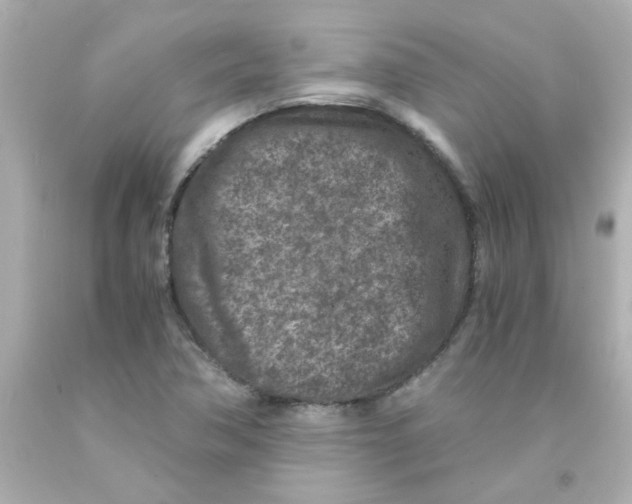 X0000093121362200710241254