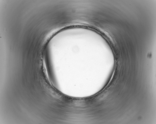 X0000093121363200710241254