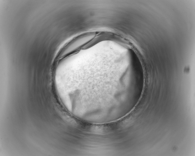 X0000093121364200710241254