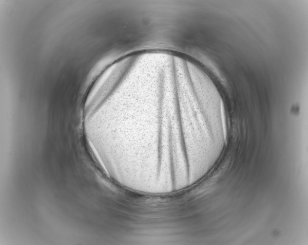 X0000093121366200710241254