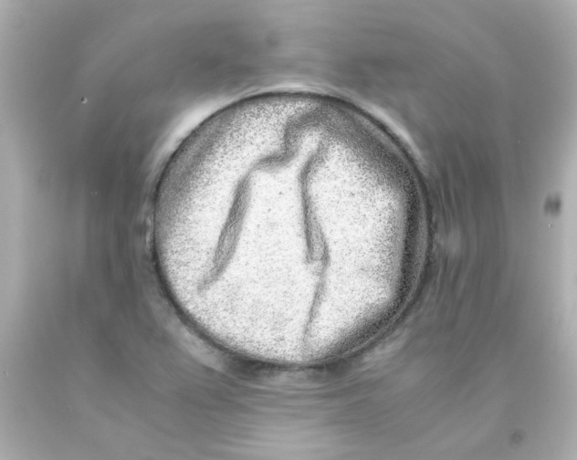 X0000093121367200710241254