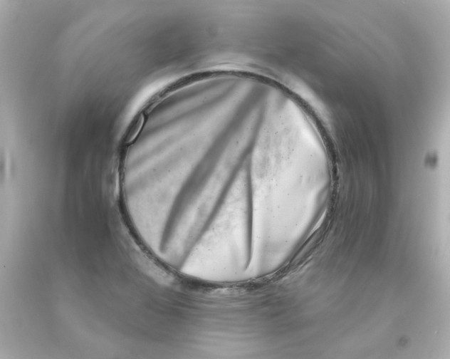 X0000093121368200710241254